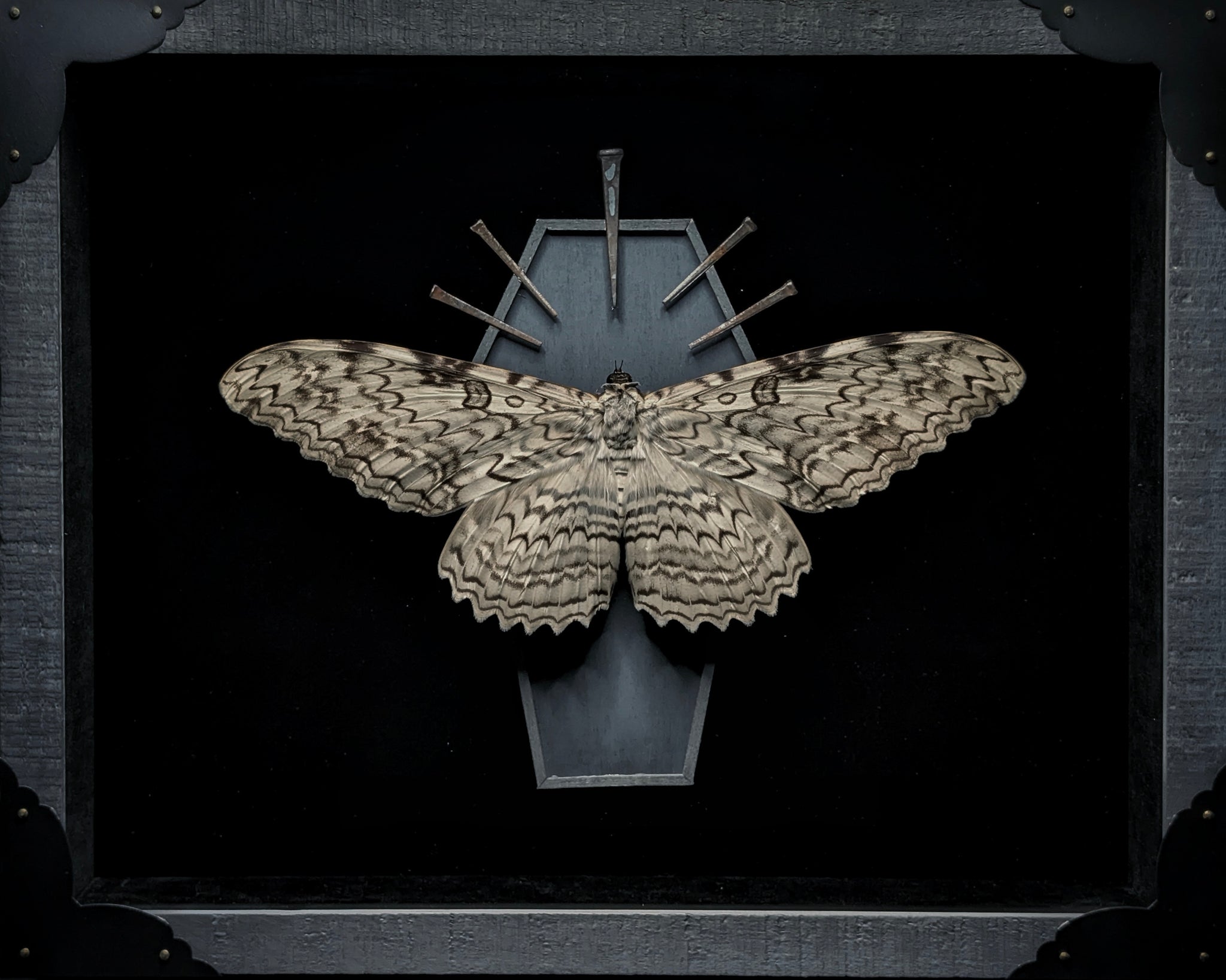 DLD_01 Funeral Pt. II: White Witch