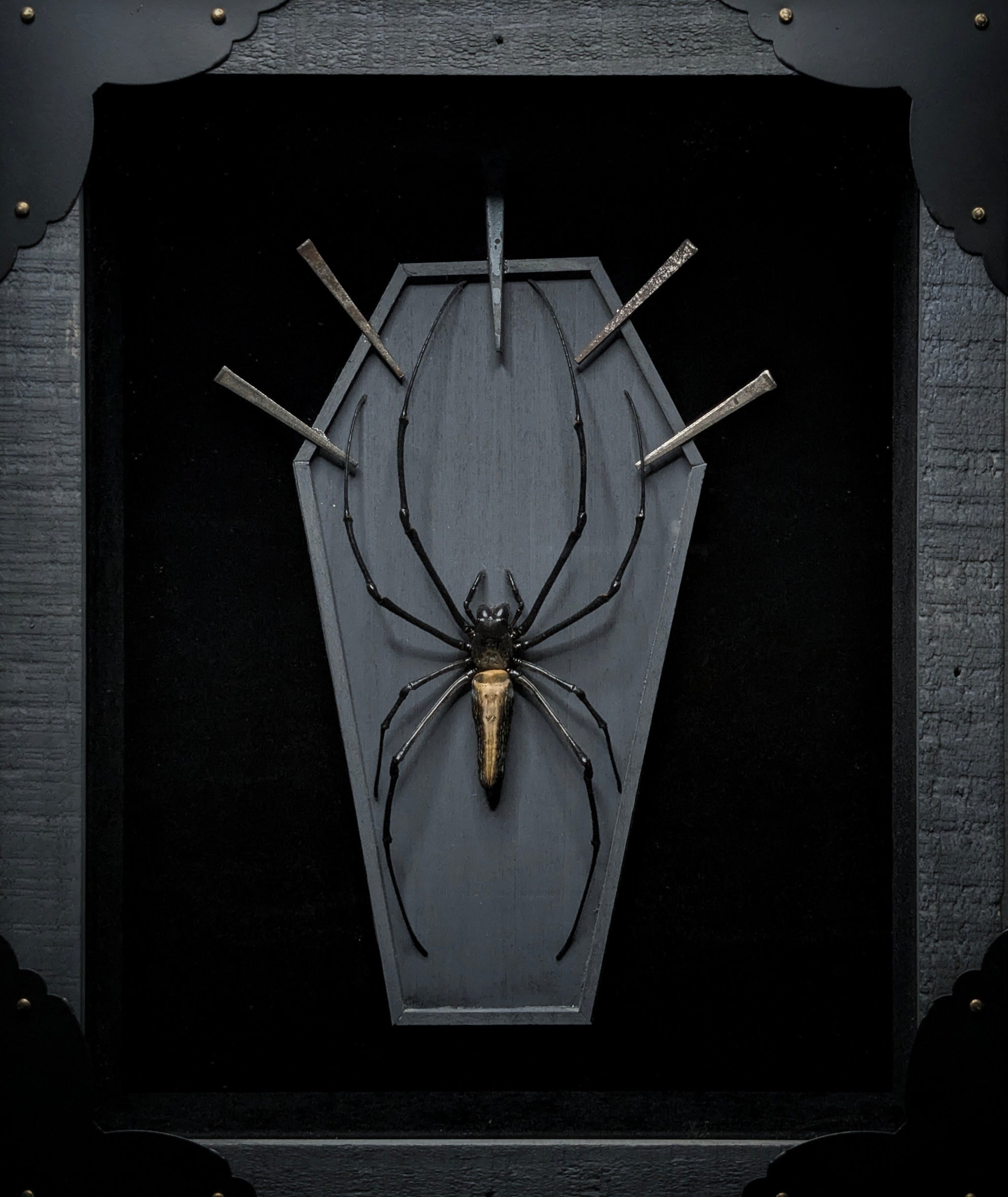 DLD_02 Funeral Pt. II: Golden Silk Orb Weaver