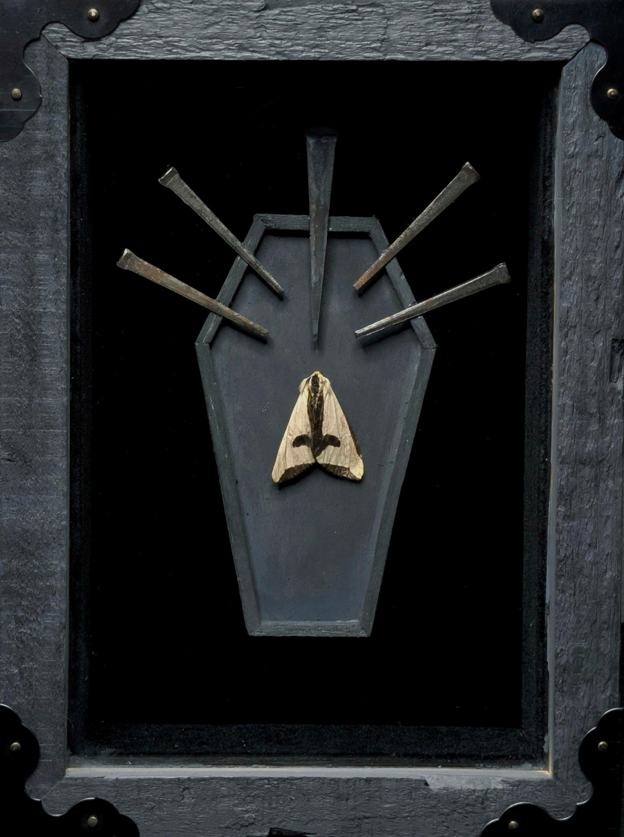 DLD_04 Funeral Pt. II: Goth Moth