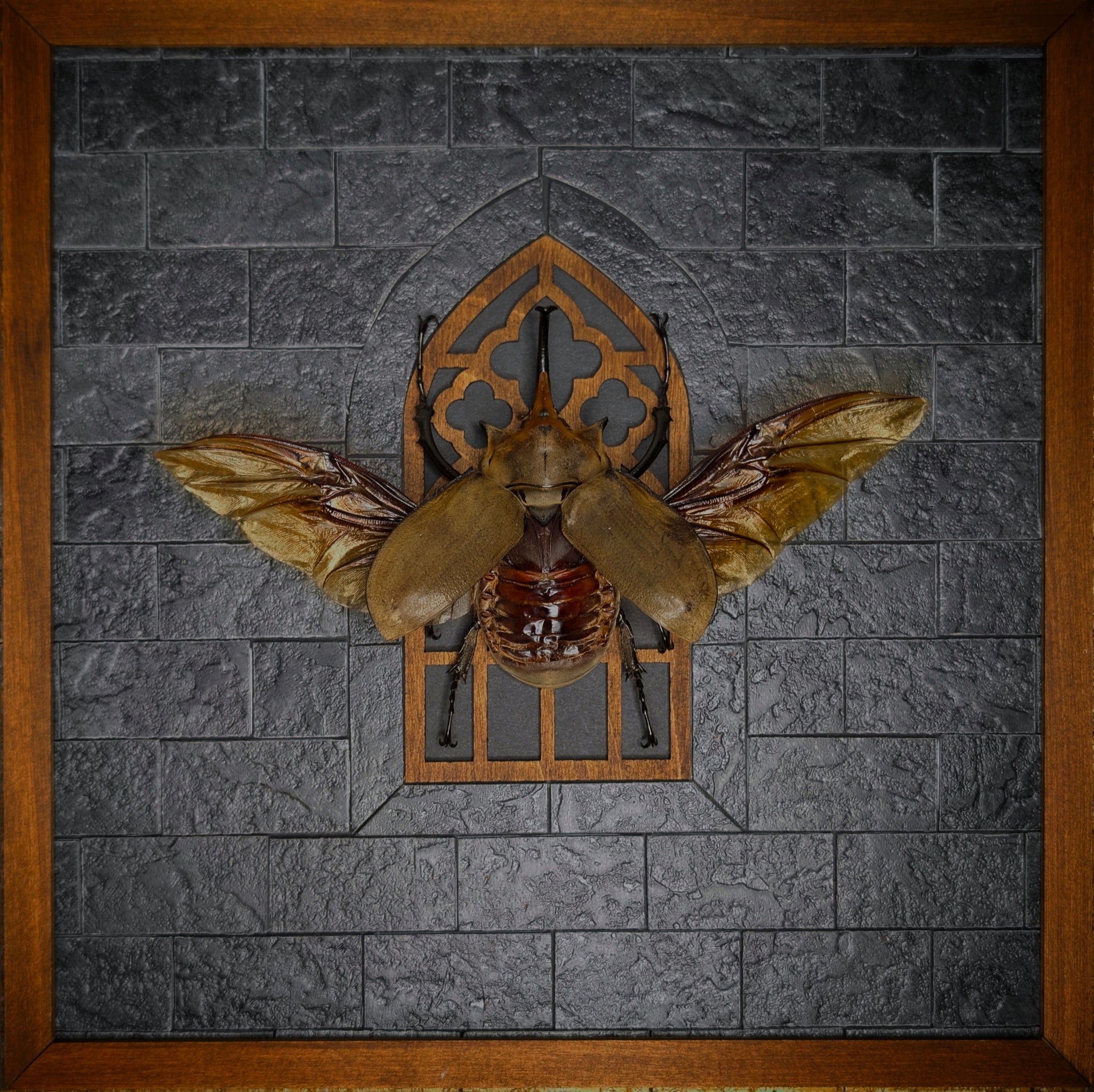 DLD_15 Cathedral: Elephant Beetle