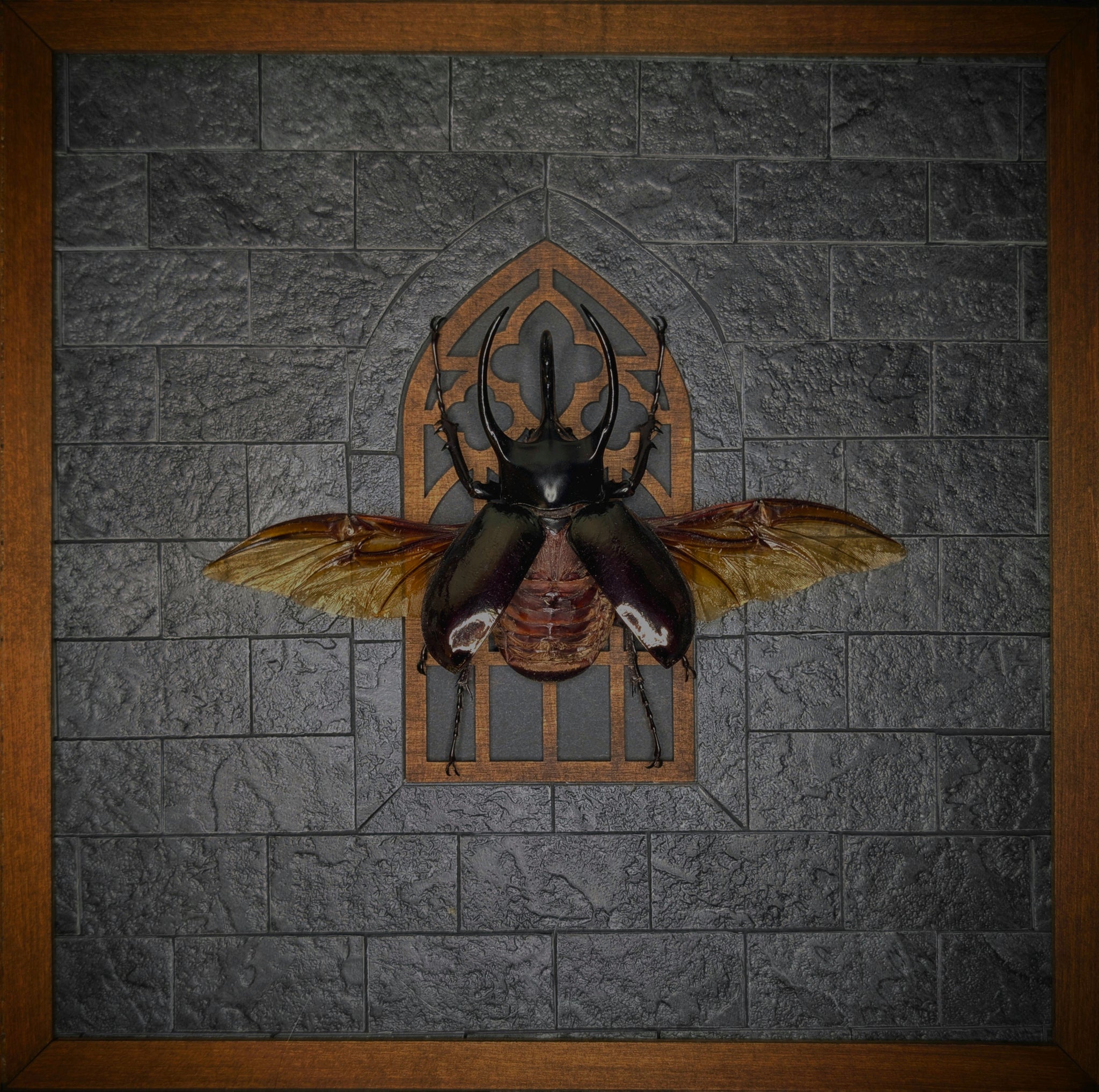 DLD_18 Cathedral: Atlas Beetle