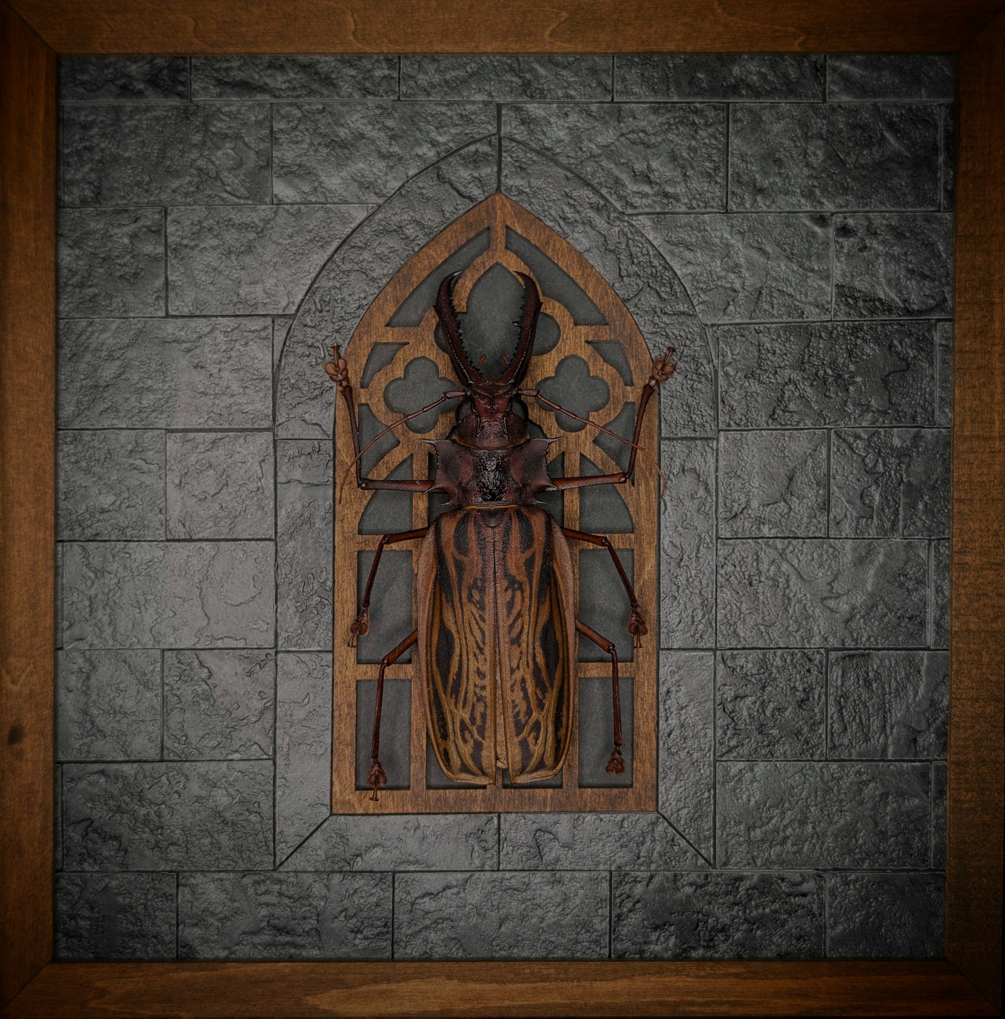 DLD_16 Cathedral: Sabertooth Longhorn Beetle