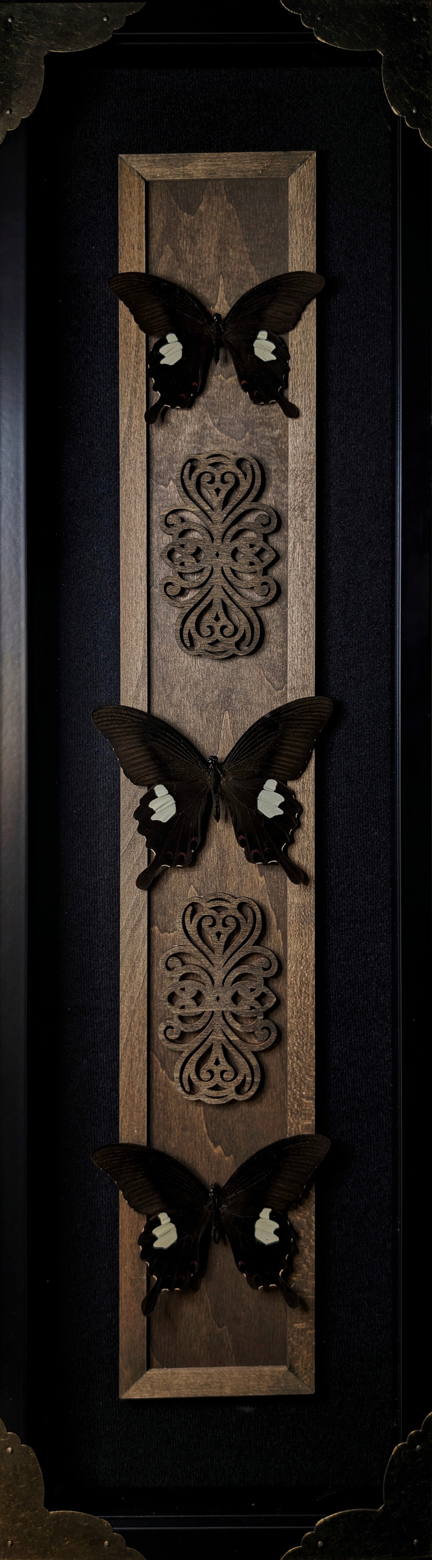 DLD_22 Red Helen Buttlerfly #1 & #2