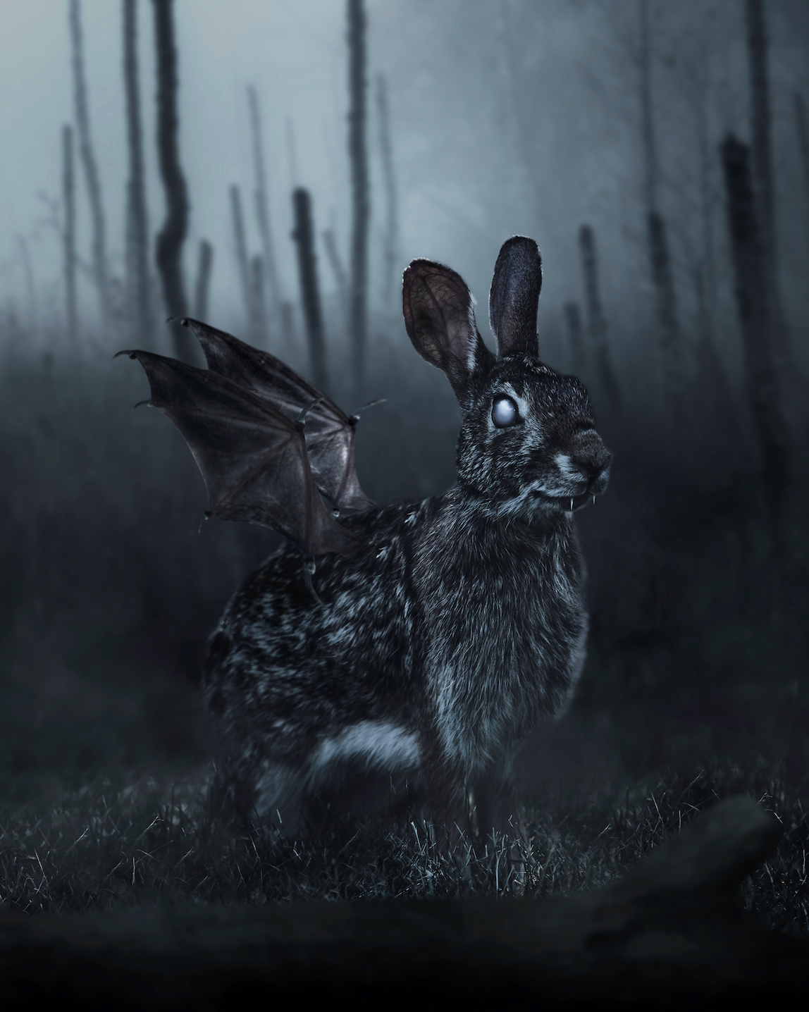 RB_03 A Dark Rabbit Tale